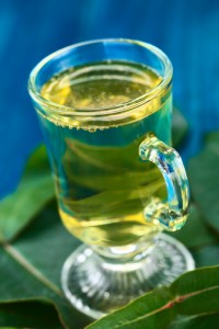 eucalyptus tea