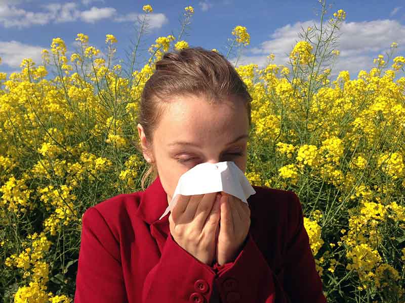 Tips for Beating Seasonal Allergies