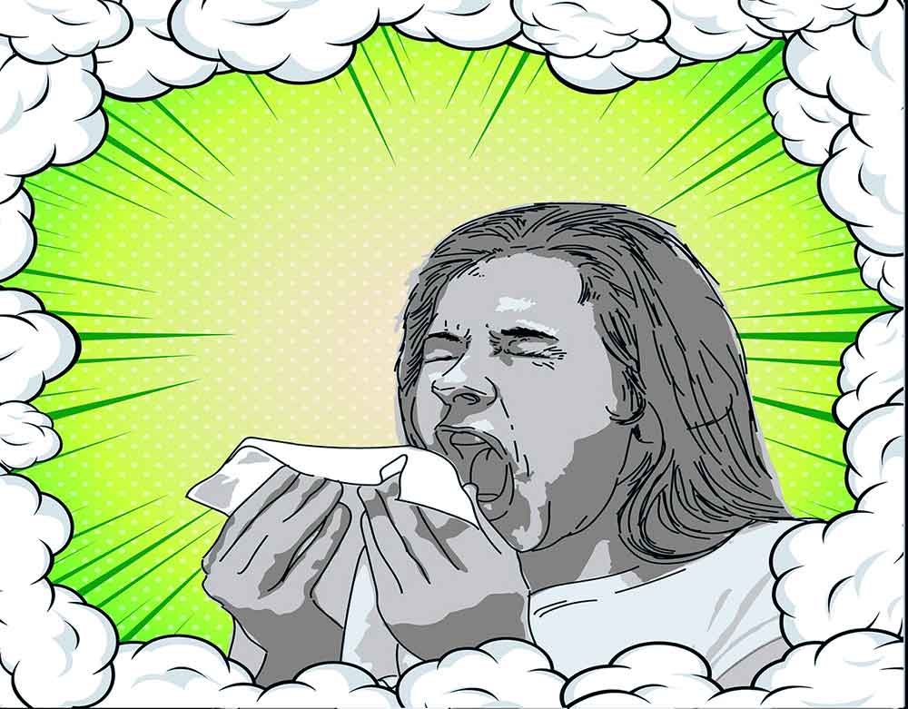 Fun Sneezing Facts