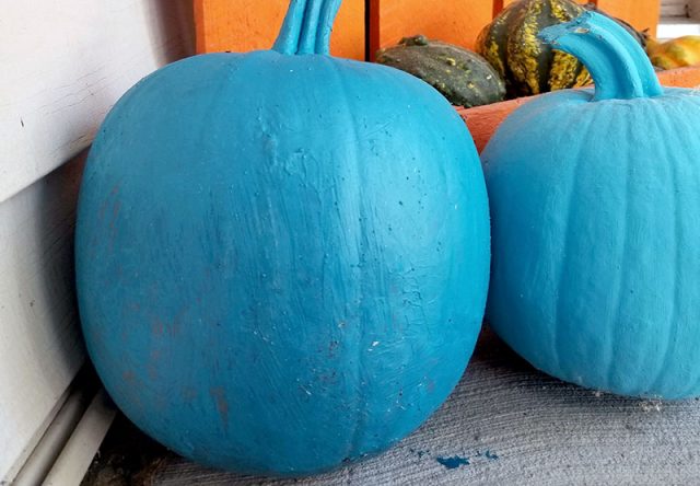 Halloween Allergies