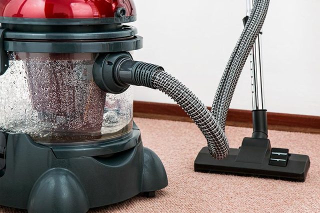 Common Indoor Allergens