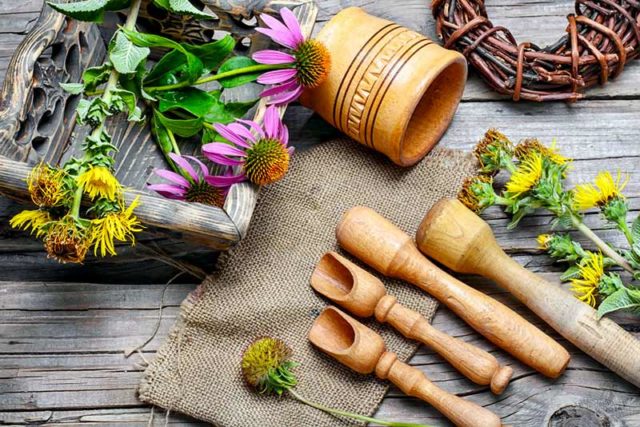 Herbs for Sinus Support