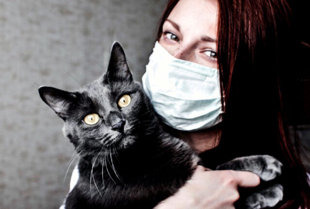 Tips for Pet Allergies