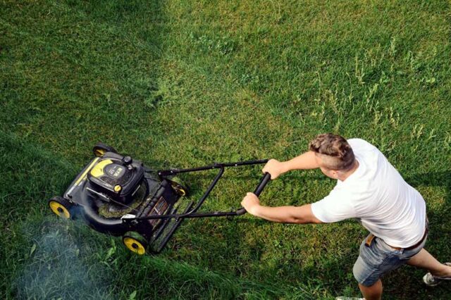 Allergy-Proof Your Yard