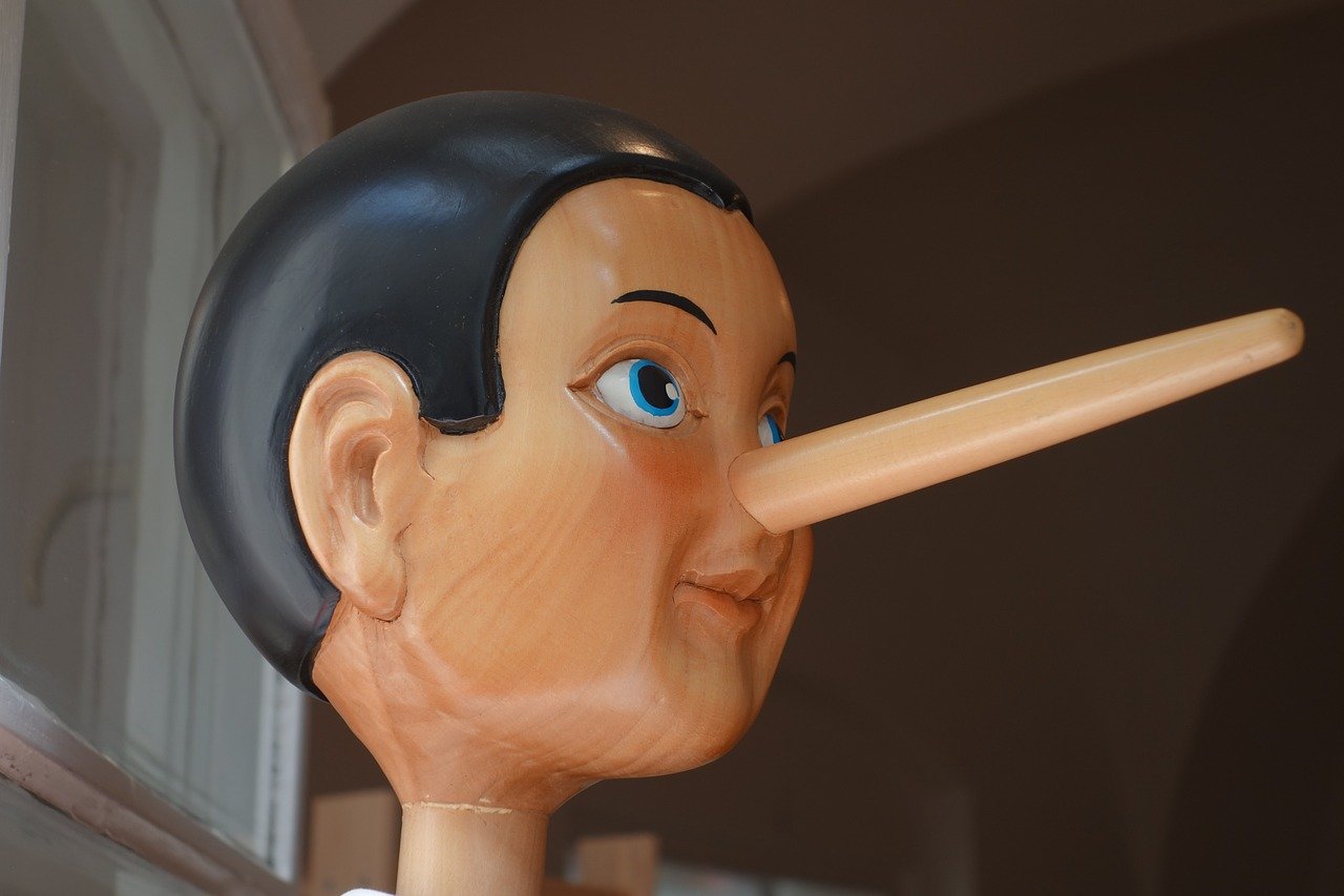 Facts About the Nose