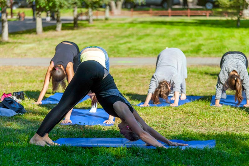 7 Best Yoga Poses For Sinusitis  How To Do At Home  Cool yoga poses Yoga  poses Best yoga