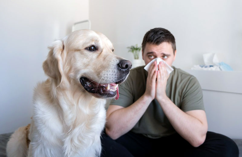 Can Allergies To Dogs Cause Asthma